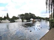 3 bedroom terraced house for sale in Brigham Road,...