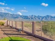 3 bedroom, Tucson AZ 85739 95605650