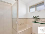 3 Bedroom with a Shed!