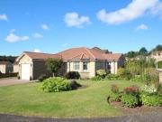 3 Bedrooms Detached bungalow for sale in Beechwood...