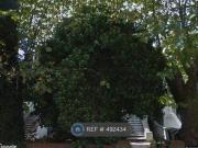 3 Bedrooms Flat for rent in North Finchley, London NW6