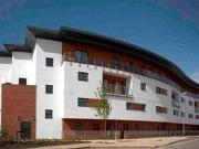 3 Bedrooms for rent in Blue Moon Way, Manchester M14