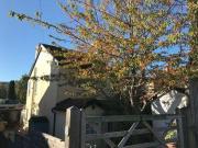 3 Bedrooms for rent in St James Road, Sevenoaks, Kent TN13