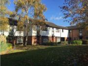 3 Bedrooms Terraced house for rent in Avondale,...