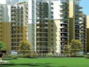 3 BHK 1150 Sq Ft Apartment In Pivotal Paradise, Sector...