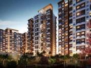 3 BHK 1353 Sq Ft Apartment In Kolte Patil Western...