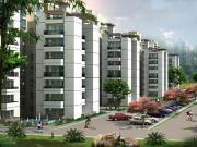 3 BHK 1395 Sq Ft Apartment In Puri Pratham, Sector 84,...