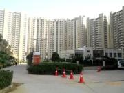 3 BHK 1430 Sq Ft Apartment In Mapsko Casa Bella, Sector...