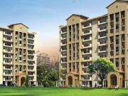 3 BHK 1450 Sq Ft Apartment In Emaar MGF Palm Hills,...
