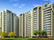 3 BHK 1590 Sq Ft Apartment In TDI Lakeside Heights,... 3 BHK 1590 Sq Ft Apartment In TDI Lakeside Heights,...