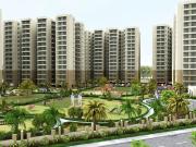 3 BHK 1630 Sq Ft Apartment In NBCC Green View, Sector...