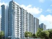 3 BHK 1645 Sq Ft Apartment In L And T Raintree...