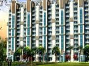 3 BHK 1650 Sq Ft Apartment In Emaar Gurgaon Greens,...