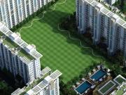 3 BHK 1650 Sq Ft Apartment In Emaar MGF Gurgaon Greens,...