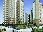 3 BHK 1758 Sq Ft Apartment In Experion The Heartsong,...