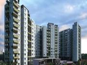 3 BHK 1761 Sq Ft Apartment In Century Breeze, Jakkur,...