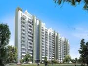 3 BHK 1790 Sq Ft Apartment In Royaleville, Sector 82,...