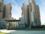 3 BHK 1814 Sq Ft Apartment In BPTP Park Serene, Sector...