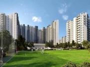 3 BHK 1852 Sq Ft Apartment In Ireo The Corridors, Sector...