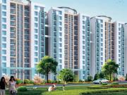 3 BHK 1877 Sq Ft Apartment In Ansal API The Fernhill,...