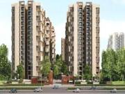 3 BHK 1880 Sq Ft Apartment In Applewood Sorrel, Shela,... 3 BHK 1880 Sq Ft Apartment In Applewood Sorrel, Shela,...