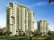 3 BHK 1950 Sq Ft Apartment In Emaar MGF Palm Gardens,...