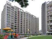 3 BHK 2072 Sq Ft Apartment In Scarlet Heights,...