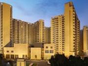 3 BHK 2781 Sq Ft Apartment In Ambience Creacions, Sector...