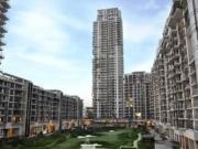 3 BHK 3203 Sq Ft Apartment In M3M Golf Estate, Sector...