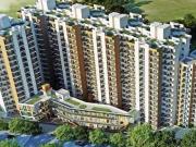 3 BHK 645 Sq Ft Apartment In Signature Orchard Avenue,...