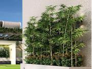 3 BHK Apartment in Akurdi for resale Pimpri Chinchwad....