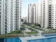 3 BHK Apartment in Anna Nagar for resale Chennai West....