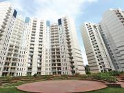 3 BHK Apartment in Anna Nagar West for resale Chennai...