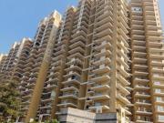 3 BHK Apartment in Bamheta Village for rent Ghaziabad....