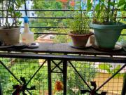 3 BHK Apartment in Behala Chowrasta for resale West...