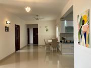 3 BHK Apartment in Bellandur for rent Bangalore. The...