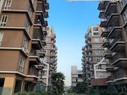 3 BHK Apartment in Beltola for resale Guwahati. The...