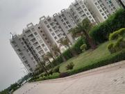 3 BHK Apartment in Bir Chhat for rent Mohali. The...