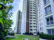 3 BHK Apartment in Bommanahalli for rent Bangalore. The...