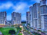 3 BHK Apartment in Bommanahalli for rent Bengaluru. The...