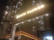 3 BHK Apartment in Byculla for rent Mumbai. The...