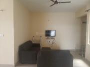 3 BHK Apartment in Chansandra for rent Bangalore. The...