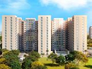 3 BHK Apartment in Dhanori for resale Dhanori Road. The...