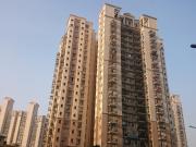 3 BHK Apartment in DLF Phase 4 for resale Golf Course...