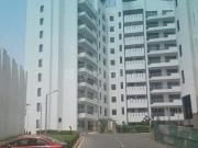 3 BHK Apartment in DLF Phase 5 for resale Golf Course...