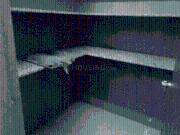 3 BHK Apartment in Dumas for rent Surat. The reference...