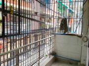 3 BHK Apartment in Dwarka Mor for rent New Delhi. The...