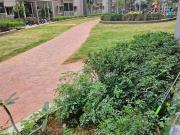 3 BHK Apartment in Erragadda for rent Hyderabad. The...