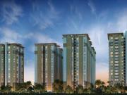 3 BHK Apartment in Financial District for rent...