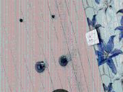 3 BHK Apartment in Gardanibagh for rent Patna. The...